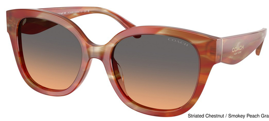 Coach Sunglasses HC8438U 590018