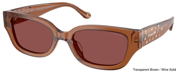 Coach Sunglasses HC8439U 581175