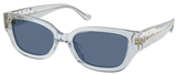 Coach Sunglasses HC8439U 590480