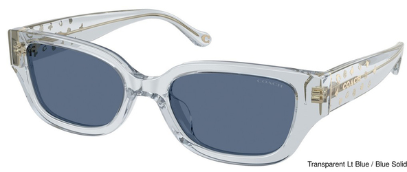 Coach Replacement Lenses 123559