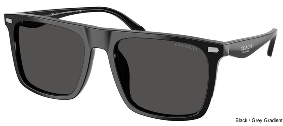 Coach Sunglasses HC8440U 500287