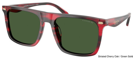 Coach Sunglasses HC8440U 590871