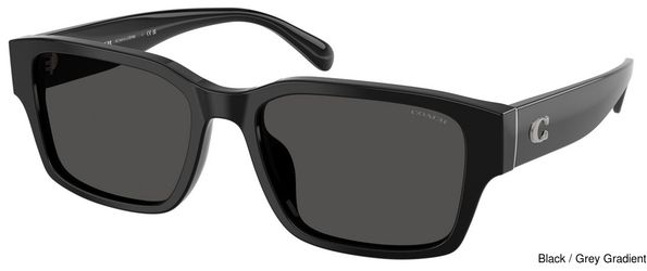 Coach Sunglasses HC8441U 500287