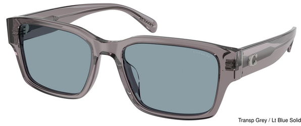 Coach Sunglasses HC8441U 553772