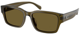 Coach Sunglasses HC8441U 591073