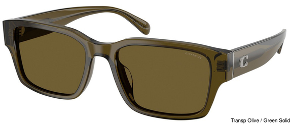 Coach Sunglasses HC8441U 591073