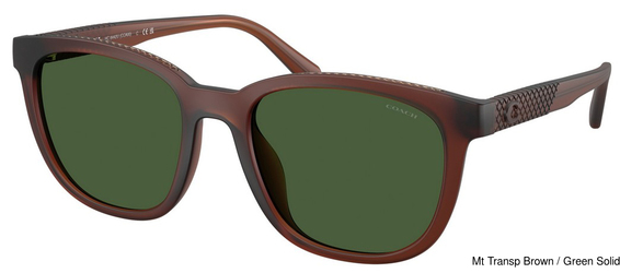 Coach Sunglasses HC8442U 591171