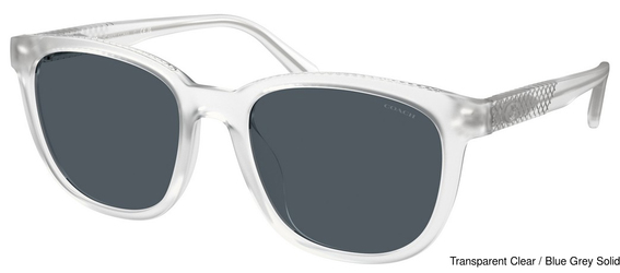 Coach Sunglasses HC8442U 511187