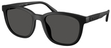 Coach Sunglasses HC8442U 500287