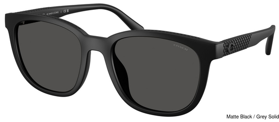 Coach Sunglasses HC8442U 500287