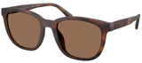 Coach Sunglasses HC8442U 512073