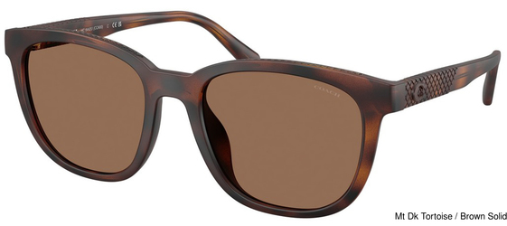 Coach Sunglasses HC8442U 512073