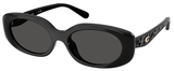 Coach Sunglasses HC8443D 500287