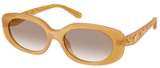 Coach Sunglasses HC8443D 591313
