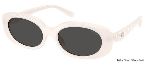 Coach Sunglasses HC8443D 579087