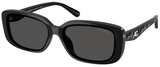 Coach Sunglasses HC8444D 500287