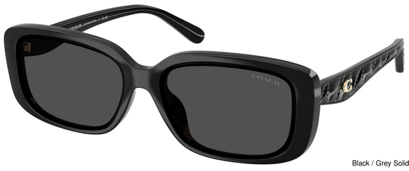 Coach Sunglasses HC8444D 500287