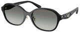 Coach Sunglasses HC8445D 500211