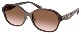 Coach Sunglasses HC8445D 512013