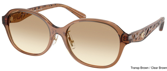 Coach Sunglasses HC8445D 565413