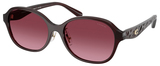 Coach Sunglasses HC8445D 59158H
