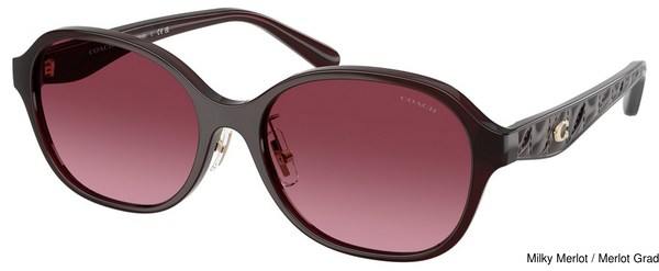 Coach Sunglasses HC8445D 59158H