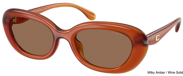 Coach Sunglasses HC8448U 593073