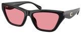 Coach Sunglasses HC8449U 500284