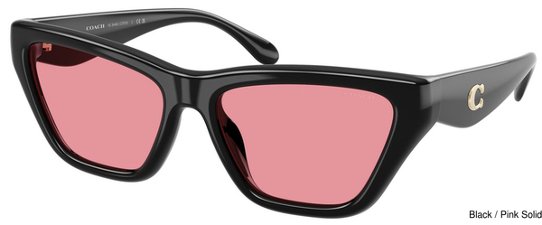 Coach Sunglasses HC8449U 500284