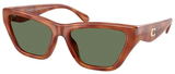 Coach Sunglasses HC8449U 577482