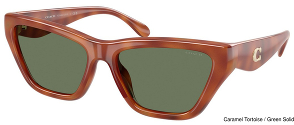 Coach Sunglasses HC8449U 577482