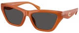 Coach Sunglasses HC8449U 593087