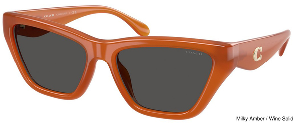 Coach Replacement Lenses 123592