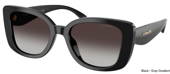 Coach Sunglasses HC8450U 50028G
