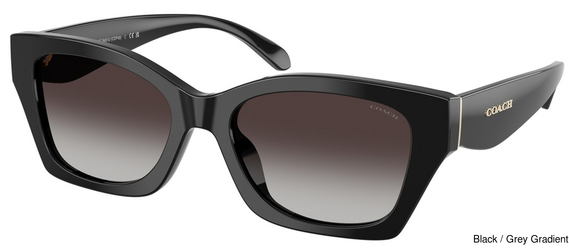 Coach Sunglasses HC8451U 50028G
