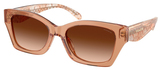 Coach Sunglasses HC8451U 593774