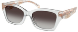 Coach Sunglasses HC8451U 59358G