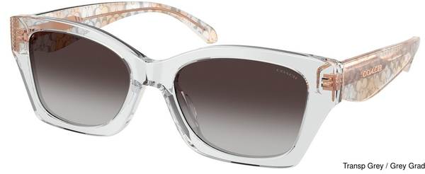 Coach Sunglasses HC8451U 59358G
