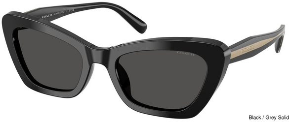 Coach Sunglasses HC8452U 500287