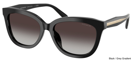 Coach Sunglasses HC8453U 50028G