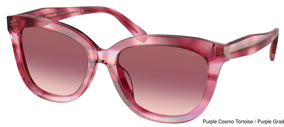 Coach Sunglasses HC8453U 59417W