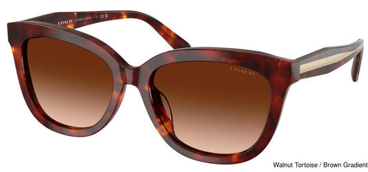 Coach Sunglasses HC8453U 593874