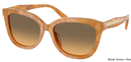 Coach Sunglasses HC8453U 593911