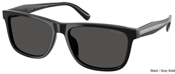 Coach Sunglasses HC8454U 500287