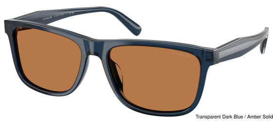 Coach Sunglasses HC8454U 575773