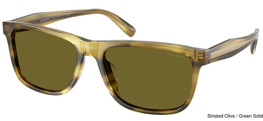 Coach Sunglasses HC8454U 5945/2