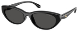 Coach Sunglasses HC8456D 500287
