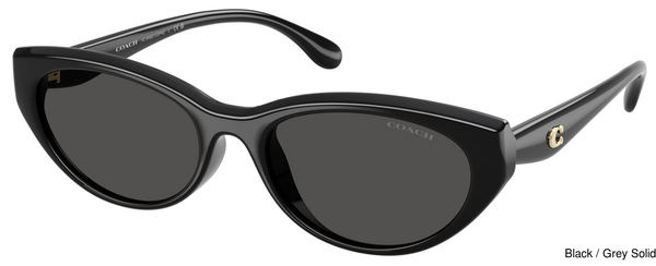 Coach Sunglasses HC8456D 500287