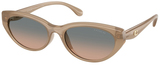 Coach Sunglasses HC8456D 594413