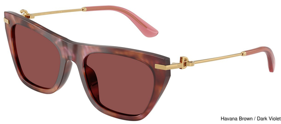 Dolce Gabbana Sunglasses DG4511 344475